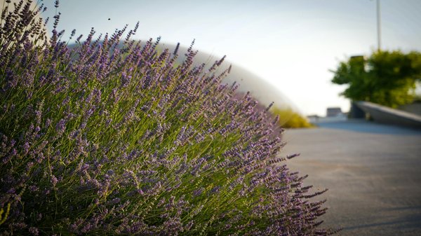 Les lave-vaisselle de comptoir : une alternative pour les petits espaces